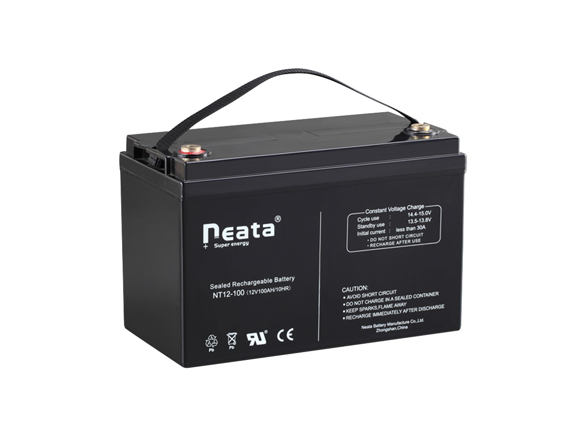 Standard AGM Battery